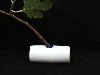 vase#7 -PLANTS-LR-2.jpg